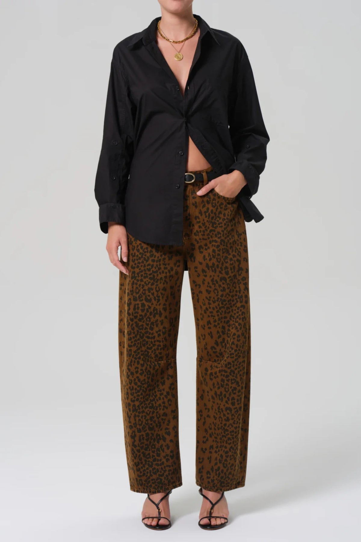 Miro - Sepia Cheetah