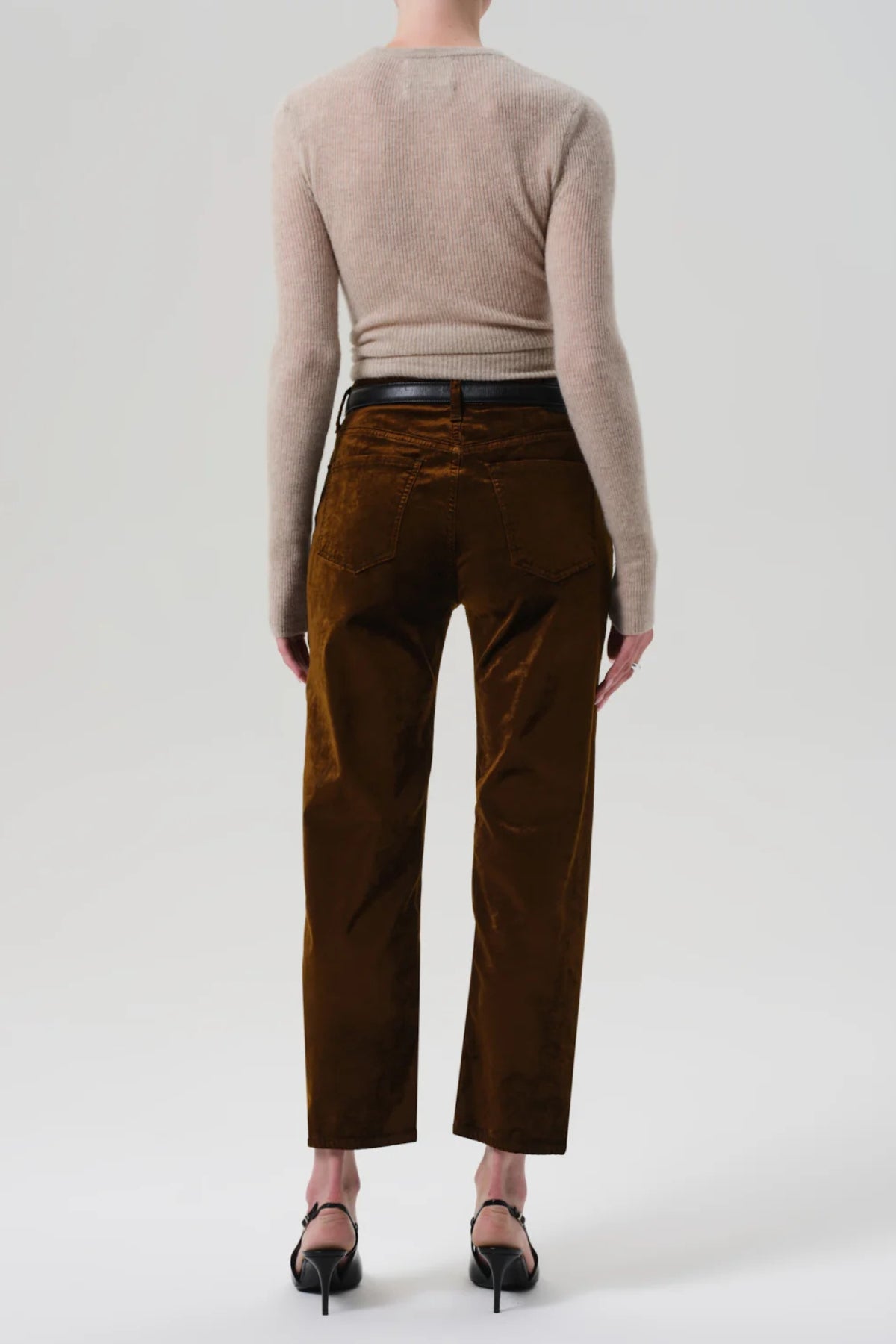Delfina - Golden Velvet