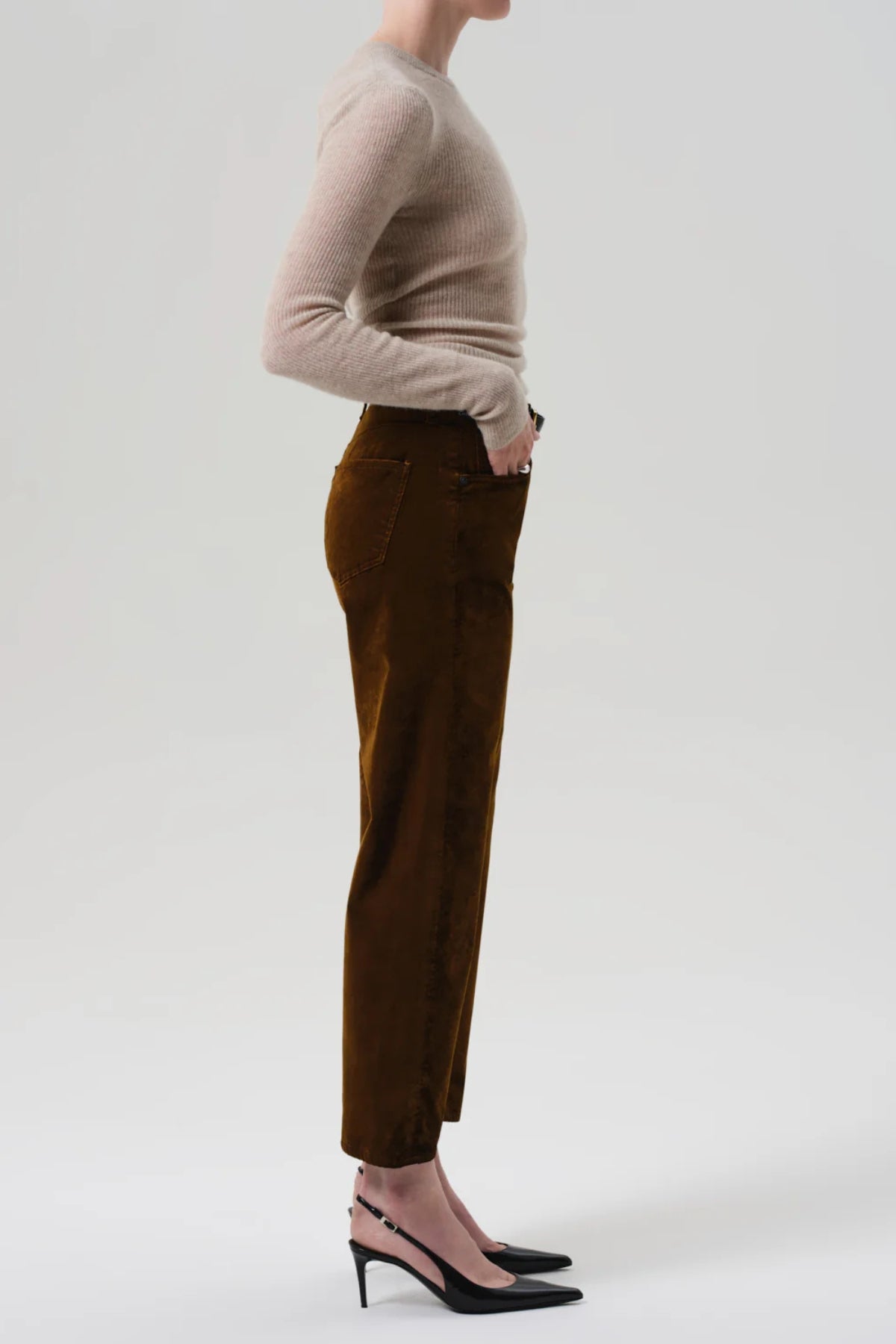 Delfina - Golden Velvet