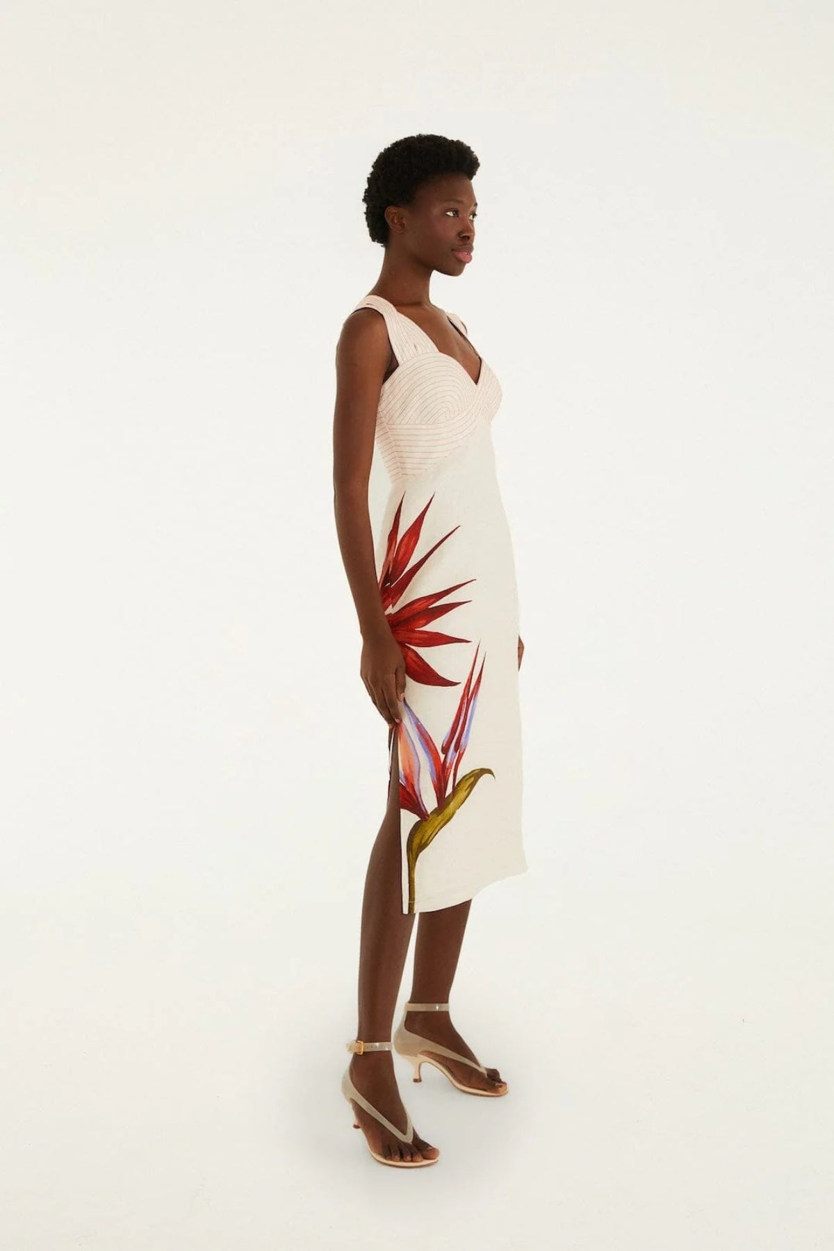 FARM RIO | STRELITZIA SAND MIDI DRESS