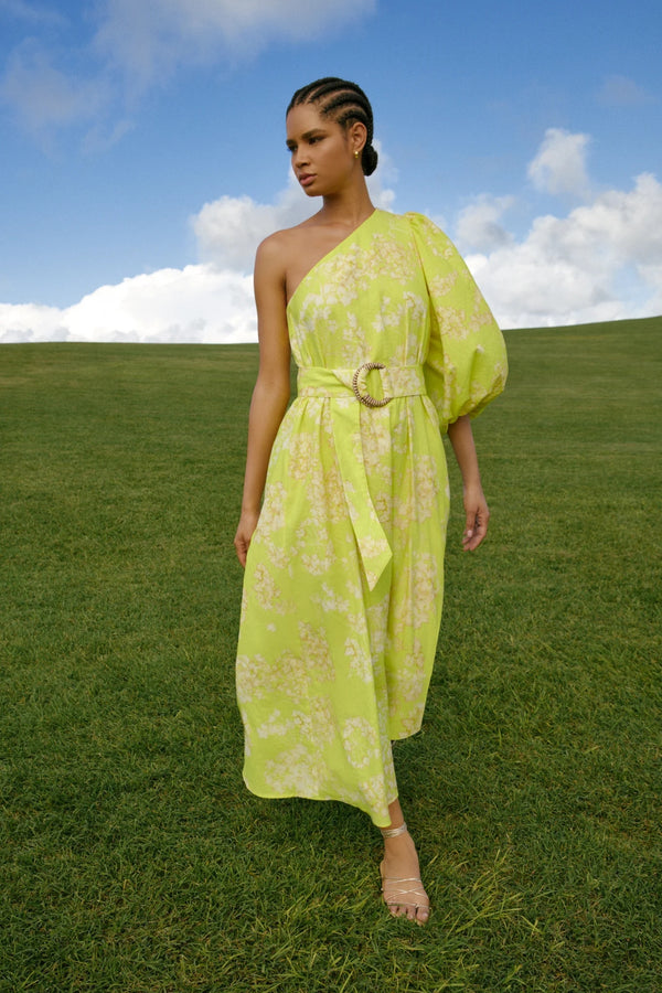 MARIE OLIVER | KENNA DRESS