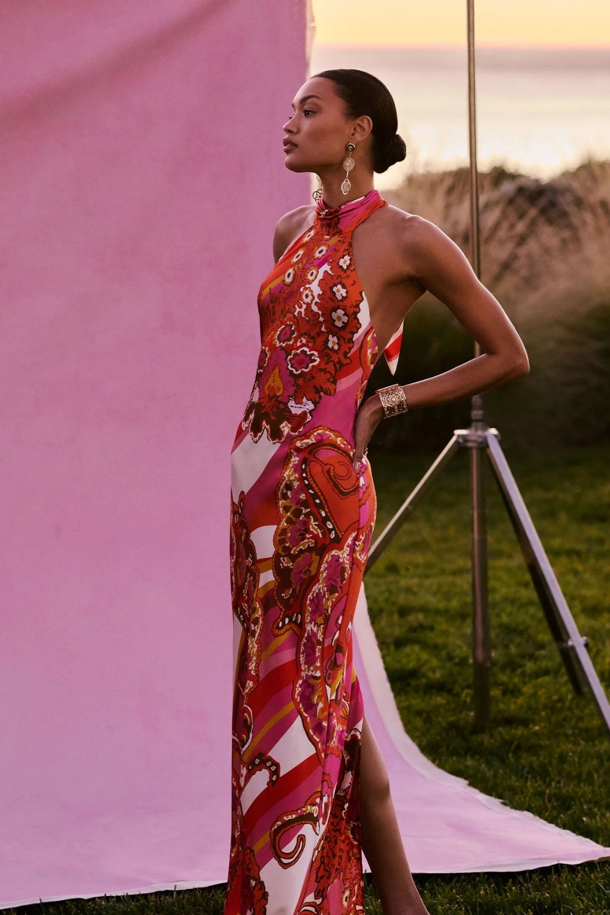 RAMY BROOK | PRINTED TATIANA GOWN