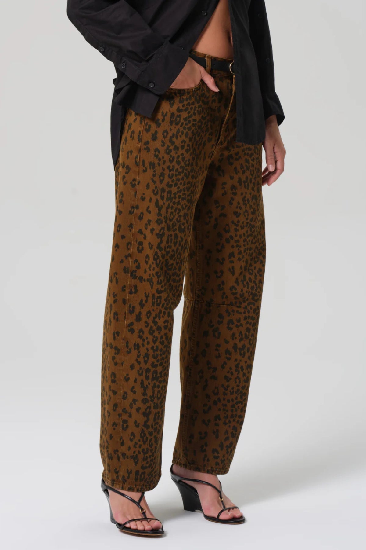 Miro - Sepia Cheetah
