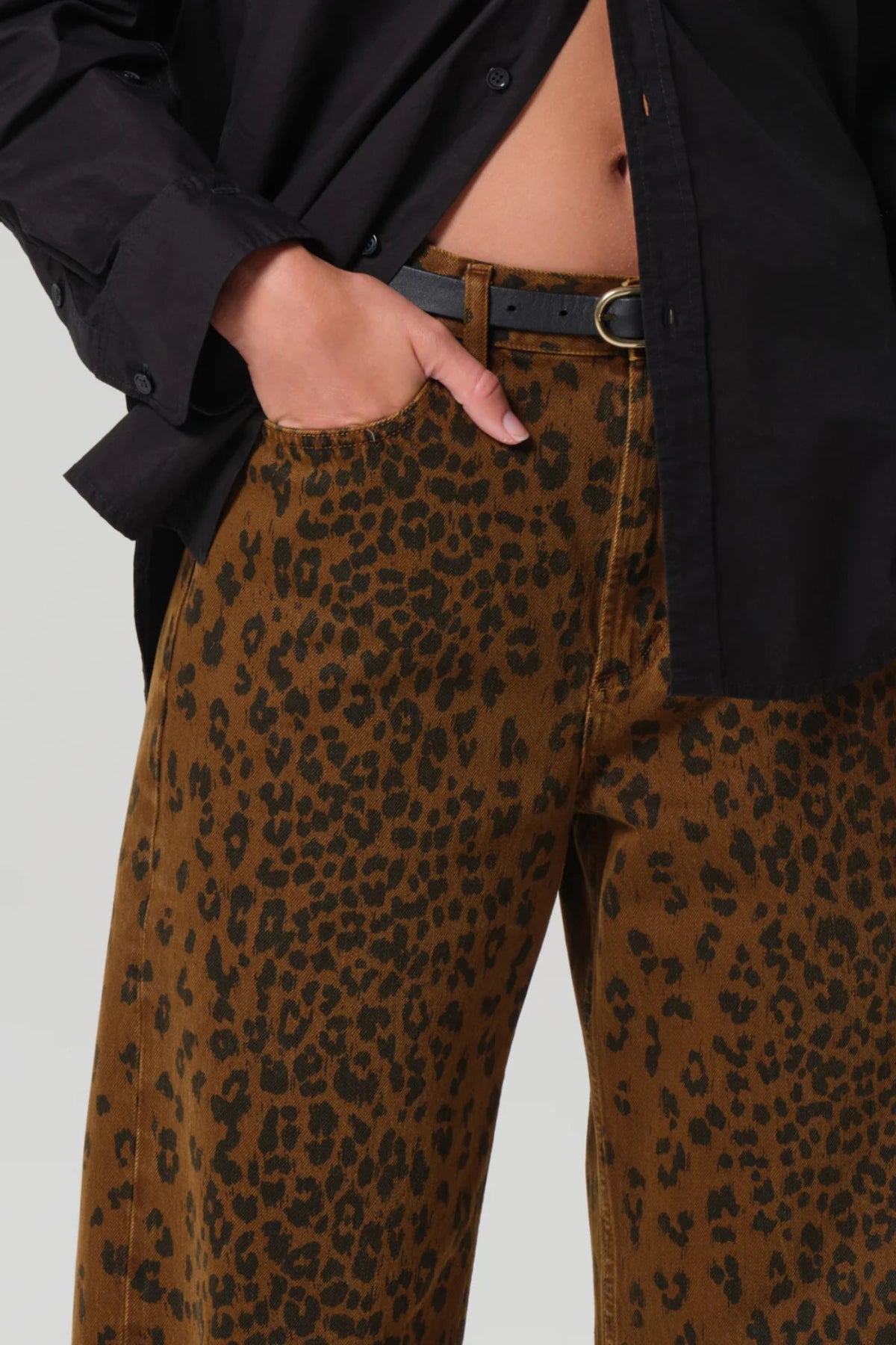 Miro - Sepia Cheetah